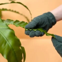 Plant Cleaning Gloves - Reusable Microfiber Leaf Care Gloves -Eds Plant Shop plant cleaning gloves reusable microfiber leaf care gloves 177899