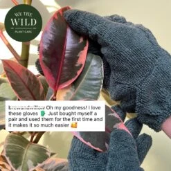 Plant Cleaning Gloves - Reusable Microfiber Leaf Care Gloves -Eds Plant Shop plant cleaning gloves reusable microfiber leaf care gloves 872862