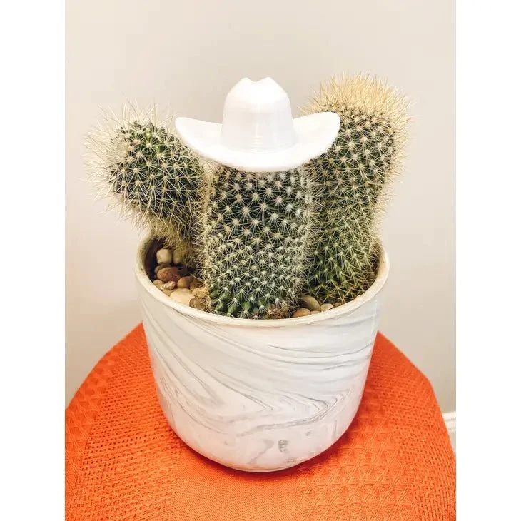 Plant Hats 3 Plant Hats