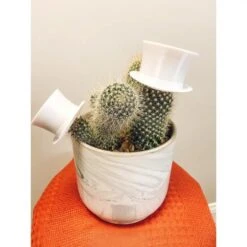 Plant Hats 9 Plant Hats -Eds Plant Shop plant hats 229630