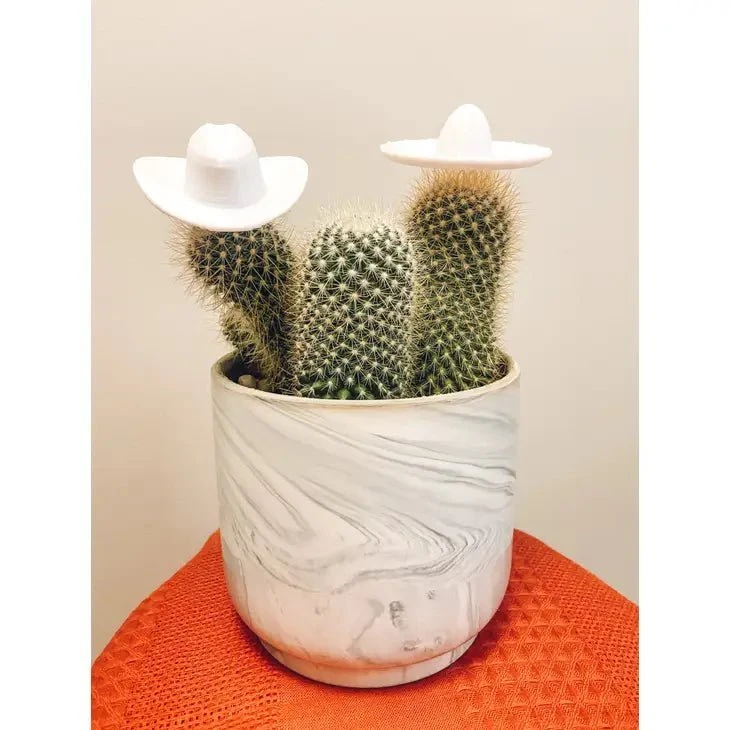 Plant Hats 5 Plant Hats - Image 3