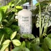 Plant Juice - The Best Houseplant Fertilizer For Happy, Hungry Plants -Eds Plant Shop plant juice 661222