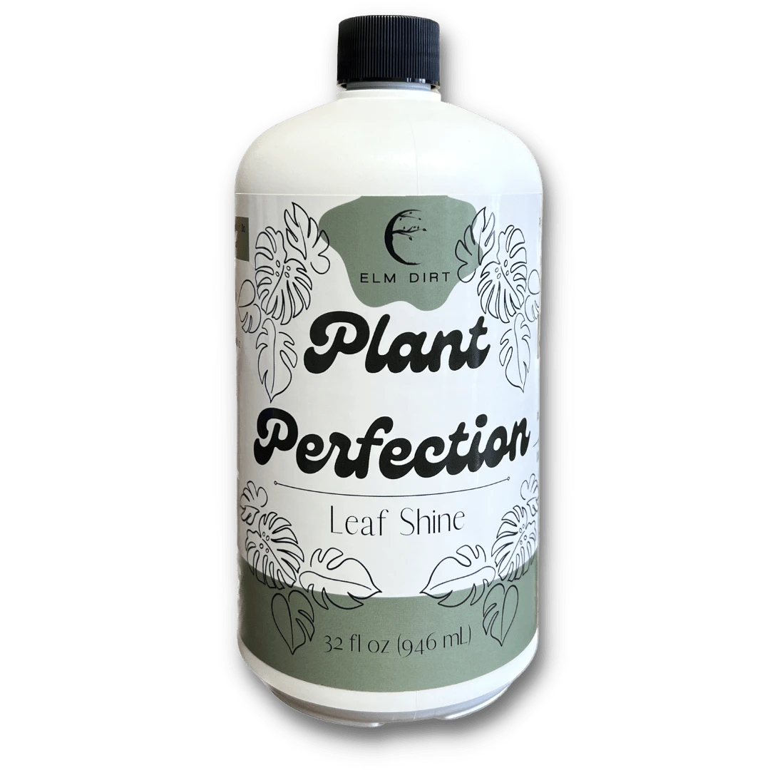 Plant Perfection - Leaf Shine For Houseplants 11 Plant Perfection - Leaf Shine For Houseplants - Image 9