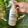 Plant Perfection - Leaf Shine For Houseplants -Eds Plant Shop plant perfection leaf shine for houseplants 633354