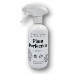 Plant Perfection - Leaf Shine For Houseplants 18 Plant Perfection - Leaf Shine For Houseplants -Eds Plant Shop plant perfection leaf shine for houseplants 774418