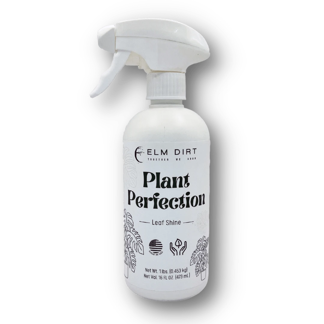 Plant Perfection - Leaf Shine For Houseplants 10 Plant Perfection - Leaf Shine For Houseplants - Image 8