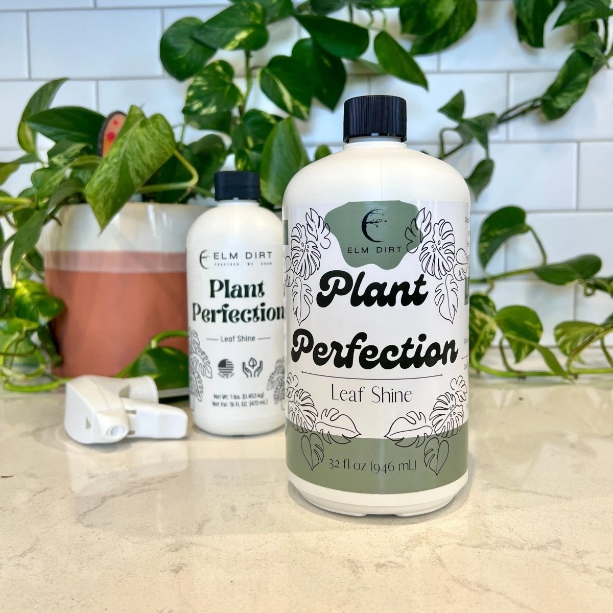 Plant Perfection - Leaf Shine For Houseplants 9 Plant Perfection - Leaf Shine For Houseplants - Image 7