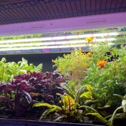 Plug & Play 4' LED Grow Lamp – T5 HO Sun White Pro Spectrum -Eds Plant Shop plug play 4 led grow lamp t5 ho sun white pro spectrum 860779