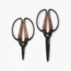 Barebones Premium Garden Scissors – Style Meets Performance 1 Barebones Premium Garden Scissors – Style Meets Performance -Eds Plant Shop premium garden scissors 634981