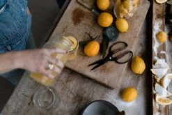 Barebones Premium Garden Scissors – Style Meets Performance 23 Barebones Premium Garden Scissors – Style Meets Performance -Eds Plant Shop premium garden scissors 639116