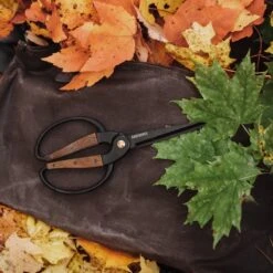 Barebones Premium Garden Scissors – Style Meets Performance 24 Barebones Premium Garden Scissors – Style Meets Performance -Eds Plant Shop premium garden scissors 972954