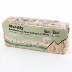 Premium Long Fiber Sphagnum Moss – Orchid & Kokedama Substrate (150g) 26 Premium Long Fiber Sphagnum Moss – Orchid & Kokedama Substrate (150g) -Eds Plant Shop premium long fiber sphagnum moss orchid kokedama substrate 150g 4348538