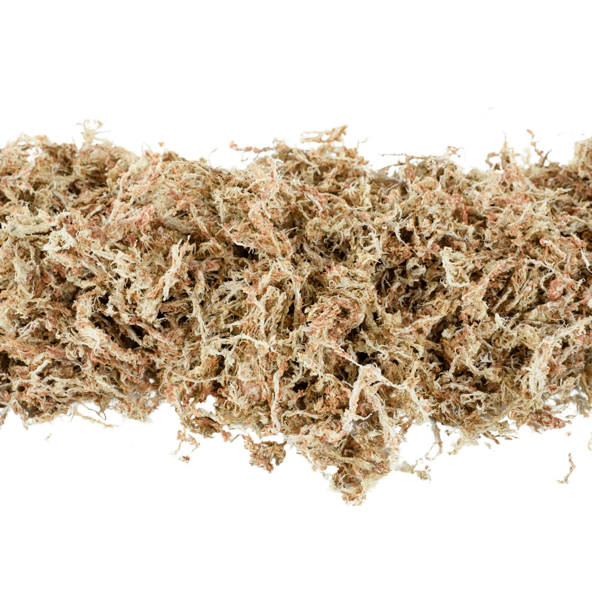 Premium Long Fiber Sphagnum Moss – Orchid & Kokedama Substrate (150g) 12 Premium Long Fiber Sphagnum Moss – Orchid & Kokedama Substrate (150g) - Image 10