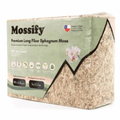 Premium Long Fiber Sphagnum Moss – Orchid & Kokedama Substrate (150g) 29 Premium Long Fiber Sphagnum Moss – Orchid & Kokedama Substrate (150g) -Eds Plant Shop premium long fiber sphagnum moss orchid kokedama substrate 150g 5129527