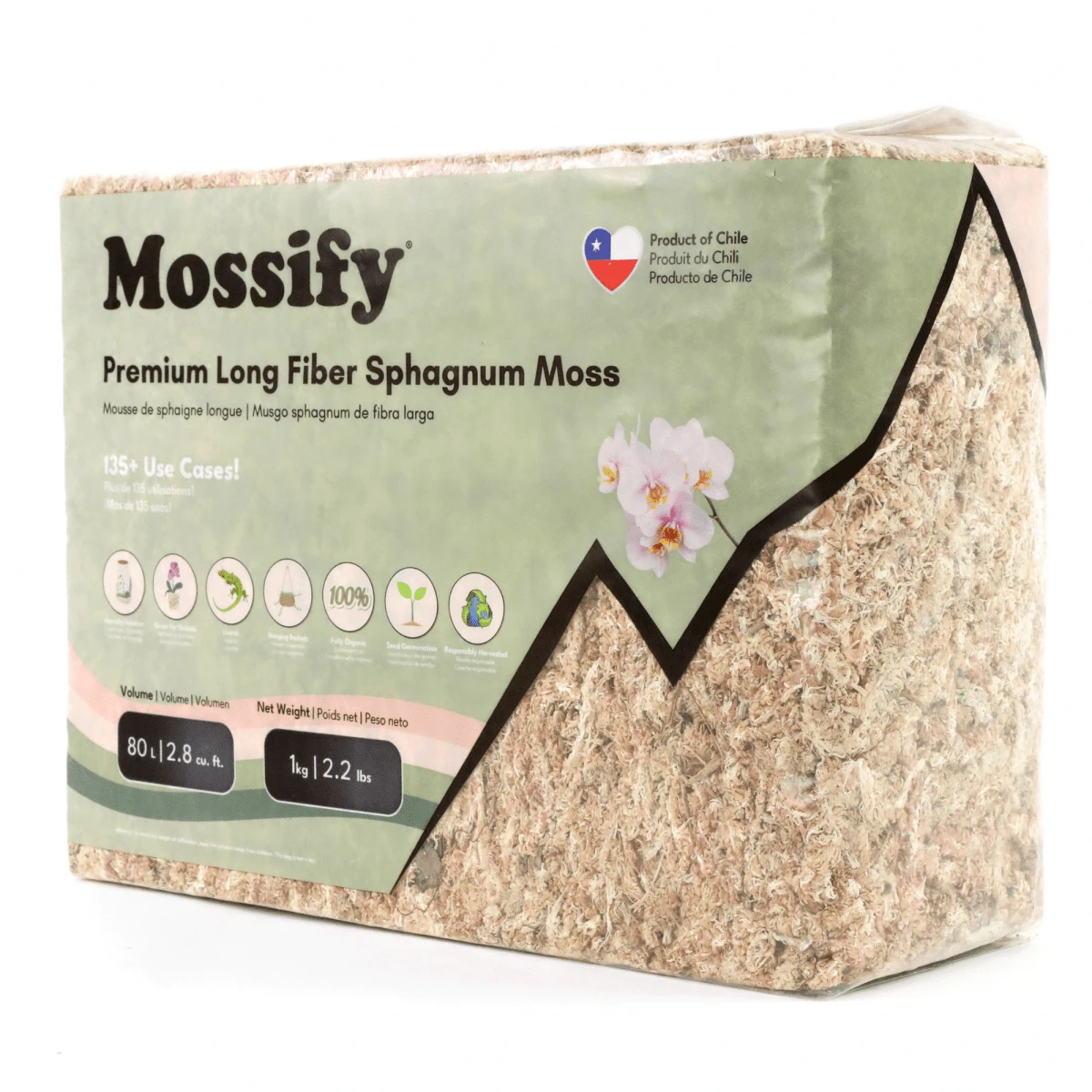 Premium Long Fiber Sphagnum Moss – Orchid & Kokedama Substrate (150g) 14 Premium Long Fiber Sphagnum Moss – Orchid & Kokedama Substrate (150g) - Image 12