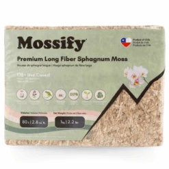 Premium Long Fiber Sphagnum Moss – Orchid & Kokedama Substrate (150g) 24 Premium Long Fiber Sphagnum Moss – Orchid & Kokedama Substrate (150g) -Eds Plant Shop premium long fiber sphagnum moss orchid kokedama substrate 150g 5239914