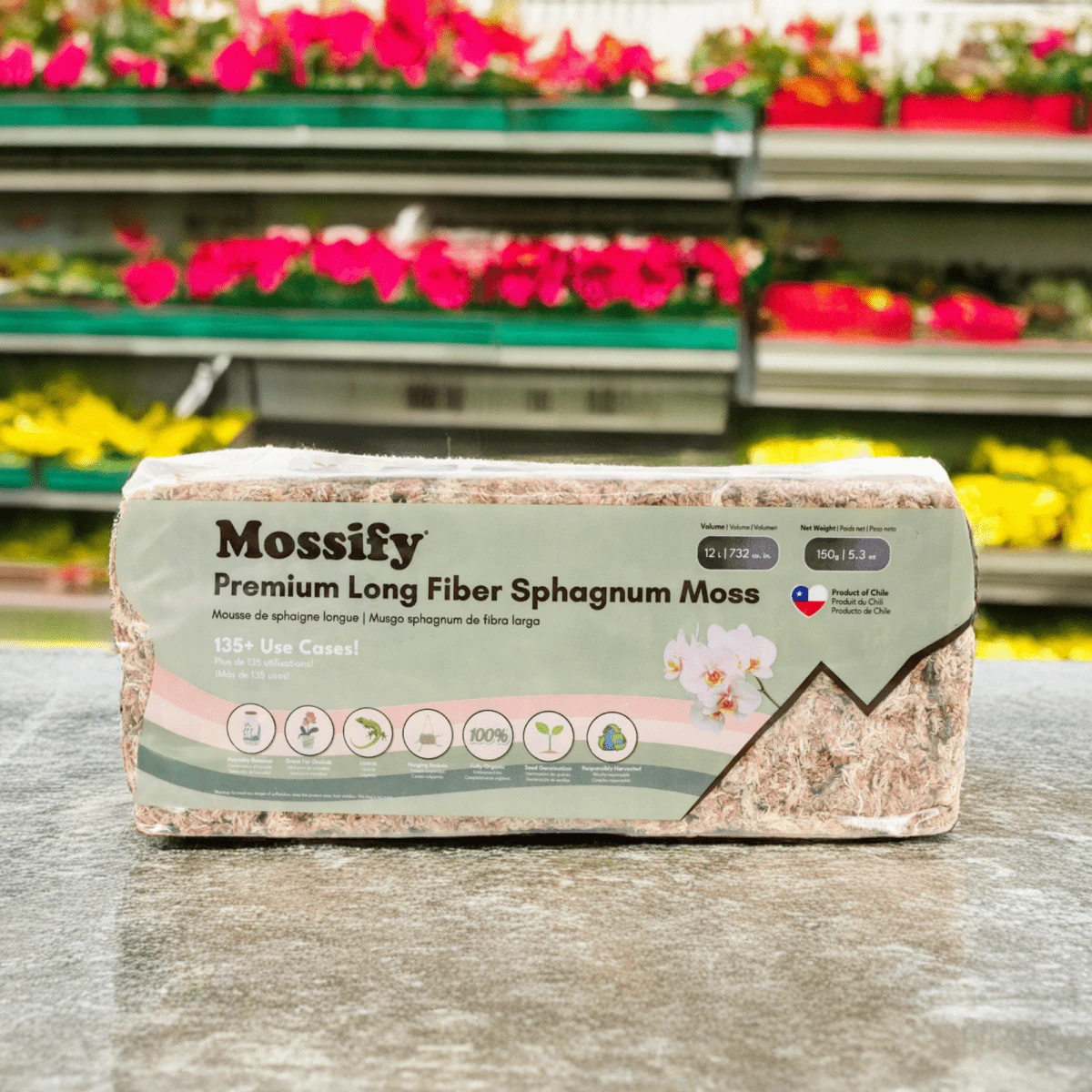 Premium Long Fiber Sphagnum Moss – Orchid & Kokedama Substrate (150g) 7 Premium Long Fiber Sphagnum Moss – Orchid & Kokedama Substrate (150g) - Image 5