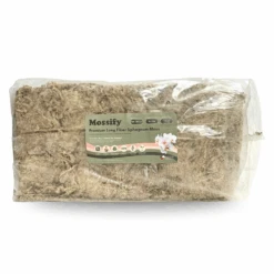 Premium Long Fiber Sphagnum Moss – Orchid & Kokedama Substrate (150g) 33 Premium Long Fiber Sphagnum Moss – Orchid & Kokedama Substrate (150g) -Eds Plant Shop premium long fiber sphagnum moss orchid kokedama substrate 150g 7410624