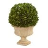 12-in Preserved Boxwood Ball In Decorative Urn -Eds Plant Shop preserved boxwood ball in decorative urn 12 134422