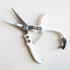 Pruning Shears - Various Colors Available -Eds Plant Shop pruning shears various colors available 782305
