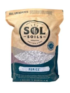 Pumice – Lightweight Volcanic Soil Amendment For Healthy Plants -Eds Plant Shop pumice lightweight volcanic soil amendment for healthy plants 802528