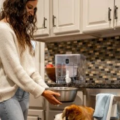 Pure Dispenser | Fluoride & PFAS-Free Water Solution 24 Pure Dispenser | Fluoride & PFAS-Free Water Solution -Eds Plant Shop pure dispenser fluoride pfas free water solution 729422