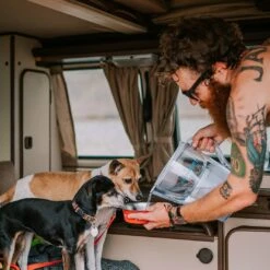 Pure Pitcher – Floride-Free Hydration For Humans And Houseplants -Eds Plant Shop pure pitcher eco friendly water filter for fluoride pfas removal 266036