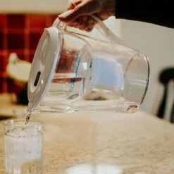 Pure Pitcher – Floride-Free Hydration For Humans And Houseplants -Eds Plant Shop pure pitcher eco friendly water filter for fluoride pfas removal 298865