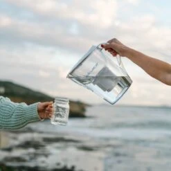 Pure Replacement Filter | Removes Fluoride & PFAS -Eds Plant Shop pure replacement filter removes fluoride pfas 274642