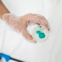 Resin Serving Tray Kit 12 Resin Serving Tray Kit -Eds Plant Shop resin serving tray kit 113745