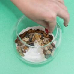 Resin Terrarium Kit -Eds Plant Shop resin terrarium kit 449915