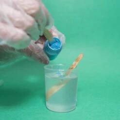 Resin Terrarium Kit -Eds Plant Shop resin terrarium kit 573175