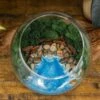 Resin Terrarium Kit