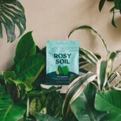 Rosy Soil Organic Indoor Potting Mix- Houseplant 4qt. 16 Rosy Soil Organic Indoor Potting Mix- Houseplant 4qt. -Eds Plant Shop rosy soil organic indoor potting mix houseplant 4qt 117592