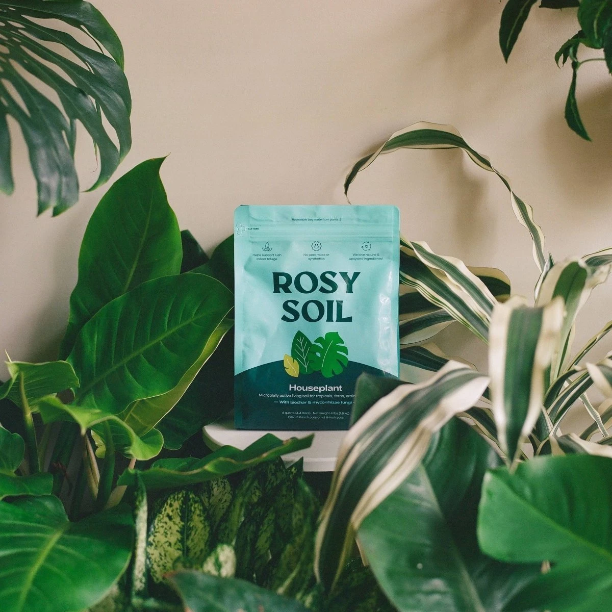 Rosy Soil Organic Indoor Potting Mix- Houseplant 4qt. 5 Rosy Soil Organic Indoor Potting Mix- Houseplant 4qt. - Image 3