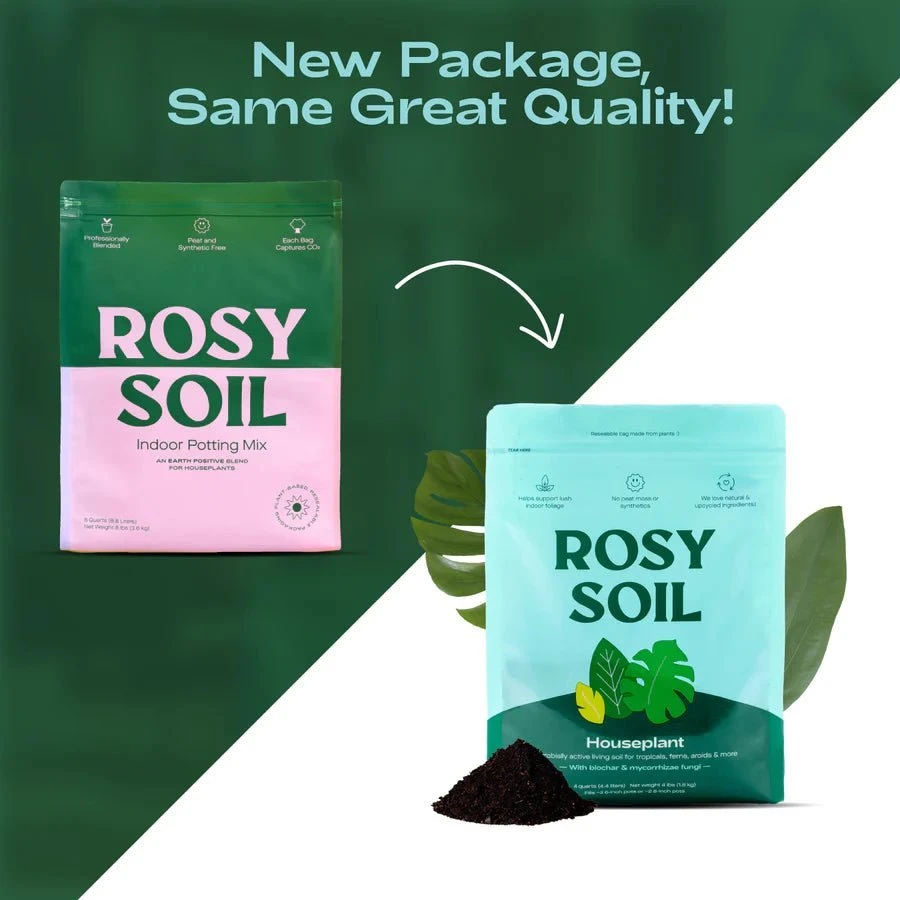 Rosy Soil Organic Indoor Potting Mix- Houseplant 4qt. 14 Rosy Soil Organic Indoor Potting Mix- Houseplant 4qt. - Image 12