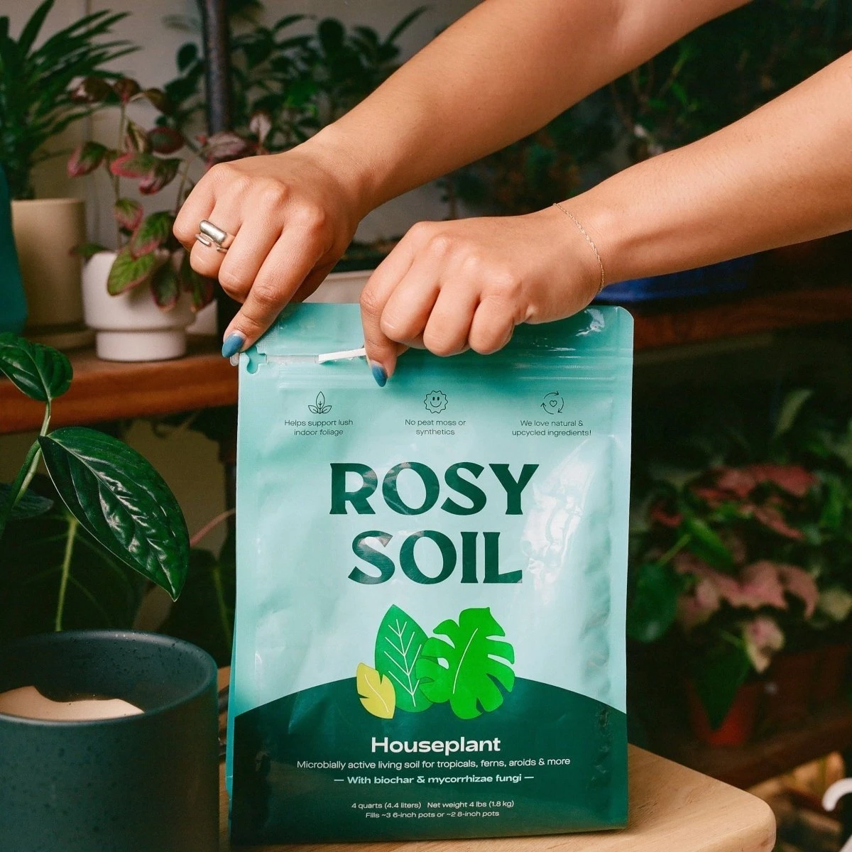 Rosy Soil Organic Indoor Potting Mix- Houseplant 4qt. 4 Rosy Soil Organic Indoor Potting Mix- Houseplant 4qt. - Image 2