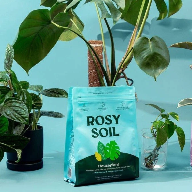 Rosy Soil Organic Indoor Potting Mix- Houseplant 4qt. 9 Rosy Soil Organic Indoor Potting Mix- Houseplant 4qt. - Image 7