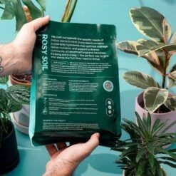 Rosy Soil Organic Indoor Potting Mix- Houseplant 4qt. 19 Rosy Soil Organic Indoor Potting Mix- Houseplant 4qt. -Eds Plant Shop rosy soil organic indoor potting mix houseplant 4qt 862591