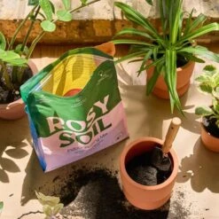 Rosy Soil Organic Indoor Potting Mix- Houseplant 8qt. 12 Rosy Soil Organic Indoor Potting Mix- Houseplant 8qt. -Eds Plant Shop rosy soil organic indoor potting mix houseplant 8qt 319172