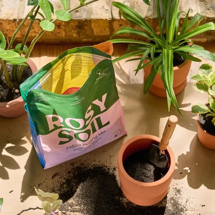 Rosy Soil Organic Indoor Potting Mix- Houseplant 8qt. 5 Rosy Soil Organic Indoor Potting Mix- Houseplant 8qt. - Image 3