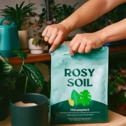 Rosy Soil Organic Indoor Potting Mix- Houseplant 8qt. 17 Rosy Soil Organic Indoor Potting Mix- Houseplant 8qt. -Eds Plant Shop rosy soil organic indoor potting mix houseplant 8qt 714935