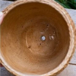 Seagrass Style Cement Planter -Eds Plant Shop seagrass style cement planter 883844