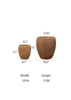 Seagrass Style Cement Planter -Eds Plant Shop seagrass style cement planter 940898