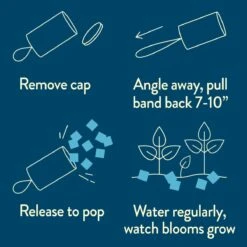 Seed Confetti Popper – Eco-Friendly Party Favors That Grow Wildflowers! -Eds Plant Shop seed confetti popper eco friendly party favors that grow wildflowers 9508128