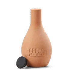 Self-Watering Clay Olla Pot – Slow-Release Irrigation System 18 Self-Watering Clay Olla Pot – Slow-Release Irrigation System -Eds Plant Shop self watering clay olla pot slow release irrigation system 212288