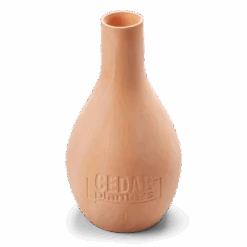 Self-Watering Clay Olla Pot – Slow-Release Irrigation System 26 Self-Watering Clay Olla Pot – Slow-Release Irrigation System -Eds Plant Shop self watering clay olla pot slow release irrigation system 269652