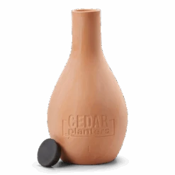 Self-Watering Clay Olla Pot – Slow-Release Irrigation System 24 Self-Watering Clay Olla Pot – Slow-Release Irrigation System -Eds Plant Shop self watering clay olla pot slow release irrigation system 560377