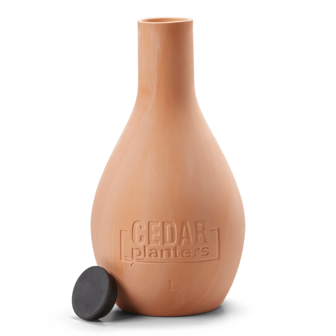 Self-Watering Clay Olla Pot – Slow-Release Irrigation System 11 Self-Watering Clay Olla Pot – Slow-Release Irrigation System - Image 9