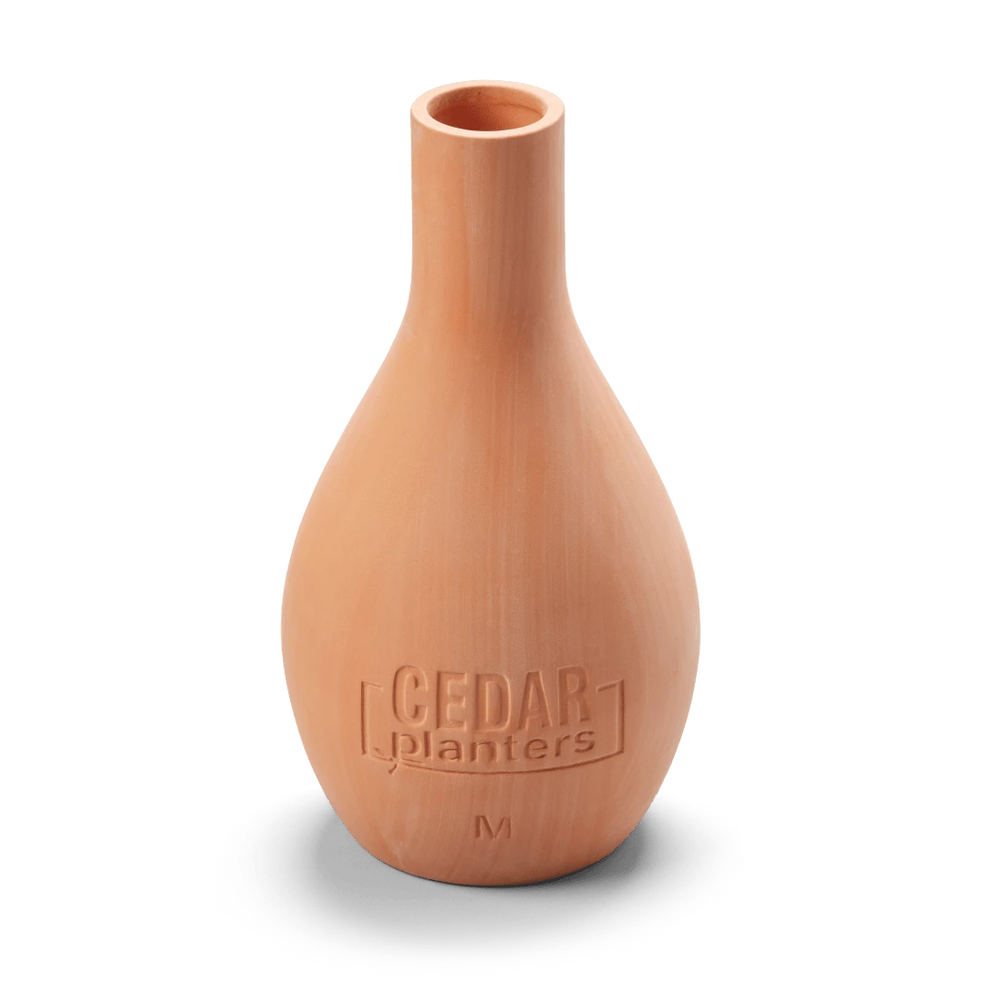 Self-Watering Clay Olla Pot – Slow-Release Irrigation System 9 Self-Watering Clay Olla Pot – Slow-Release Irrigation System - Image 7